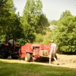 Haymaking - Hilfield Friary