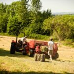 Haymaking - Hilfield Friary