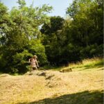 Haymaking - Hilfield Friary