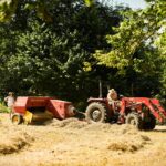 Haymaking - Hilfield Friary