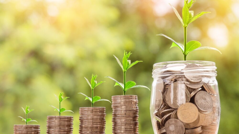 piles of coins and pot of money in a row with seedlings growing out of the top