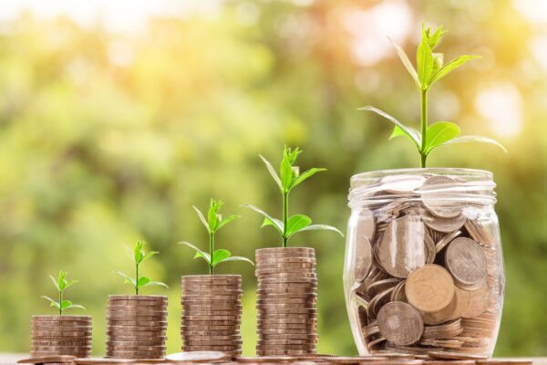 piles of coins and pot of money in a row with seedlings growing out of the top